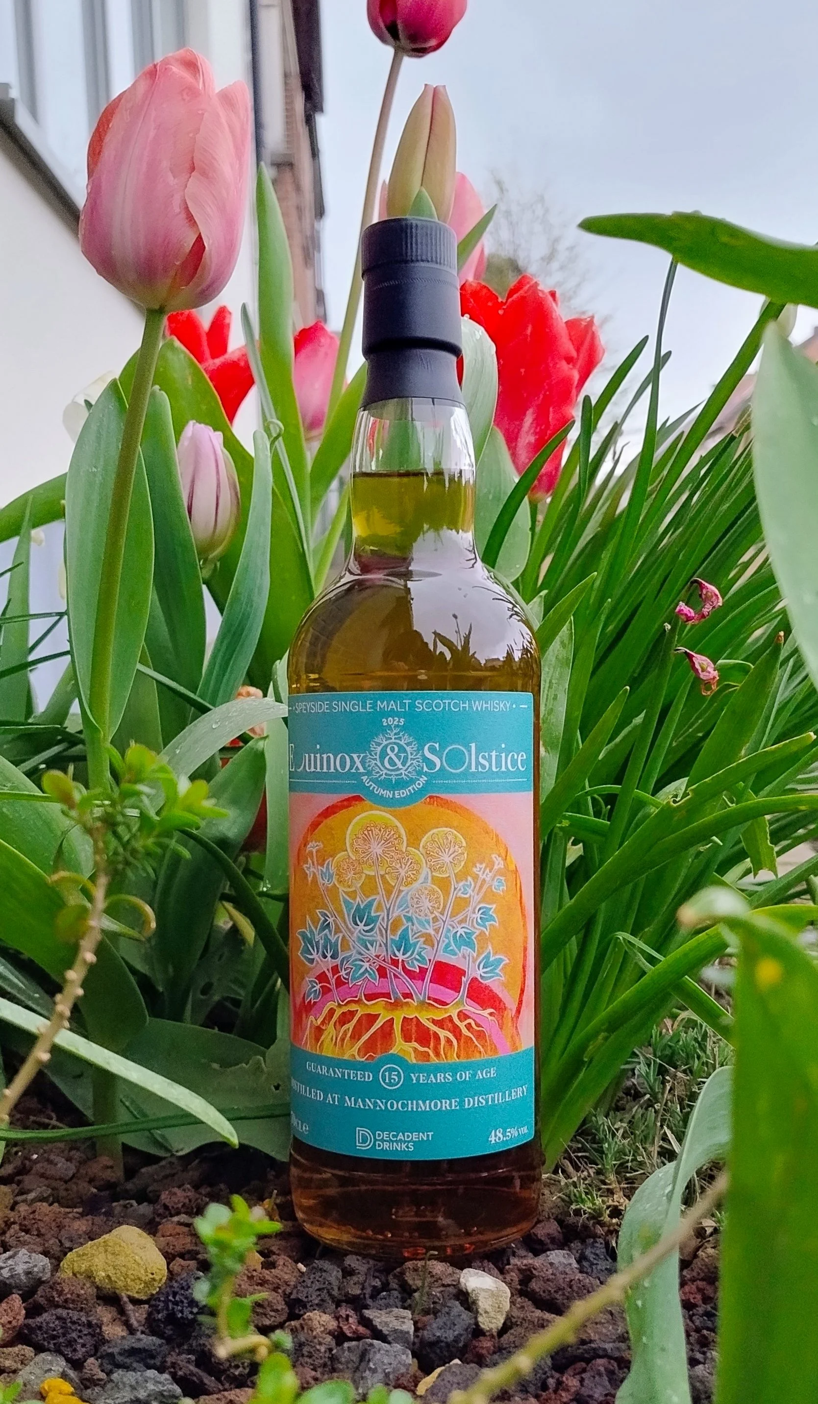 Mannochmore 15yo Equinox & Solstice — Dramface